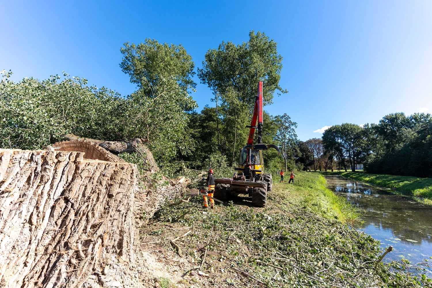rundum baum GmbH - Baumpflege - Weitwinkelaufnahme einer gerodeten Uferfläche mit einem riesigen Baumstumpf und schweren Forstmaschinen.