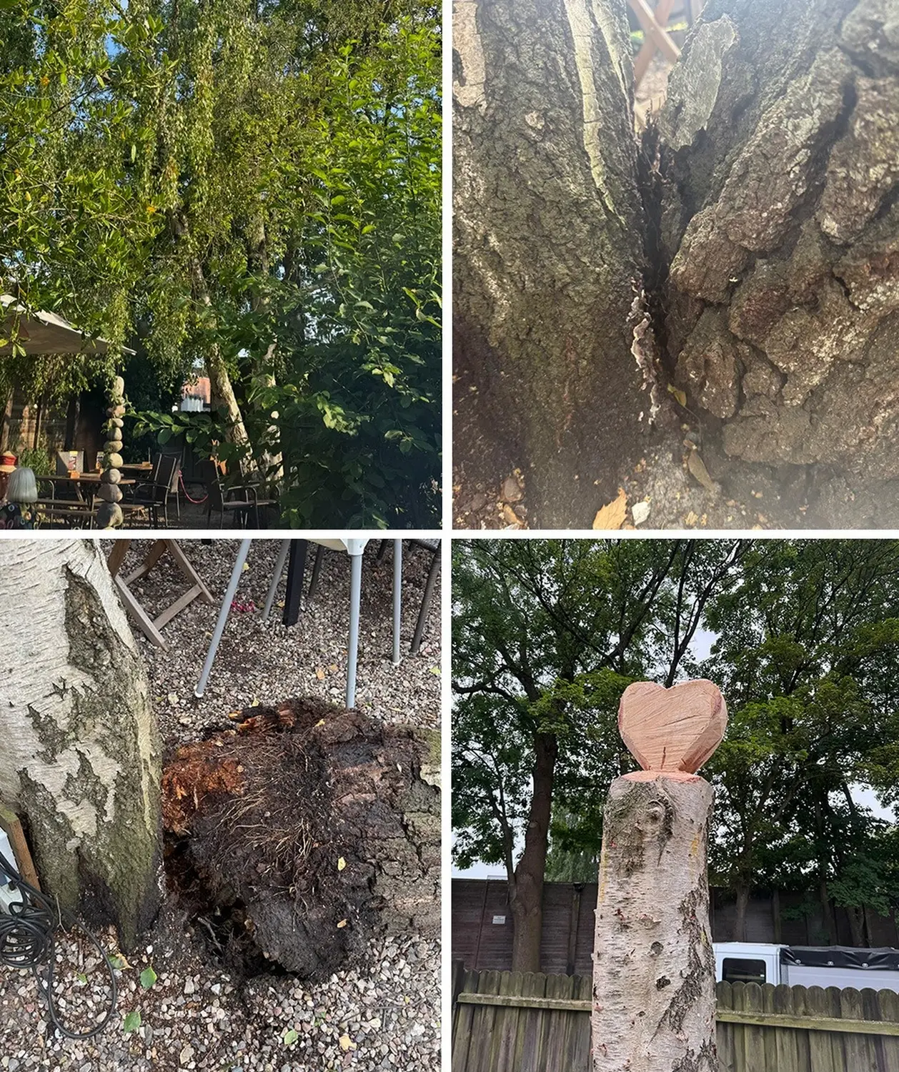 rundum baum GmbH - Baumpflege - Eine Collage aus vier Fotos zeigt einen gespaltenen Baumstamm, beschädigte Rinde, einen verrotteten Wurzelansatz und einen abgeschnittenen Stamm mit einem geschnitzten Holzherz.