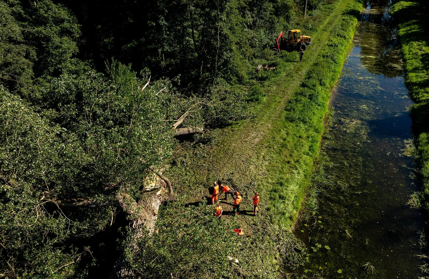rundum baum GmbH - Baumpflege - Luftaufnahme eines Teams, das Gestrüpp und Bäume neben einem schmalen Kanal entfernt