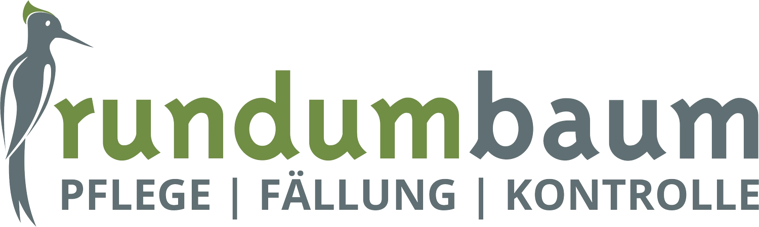 rundum baum GmbH - Baumpflege - Logo