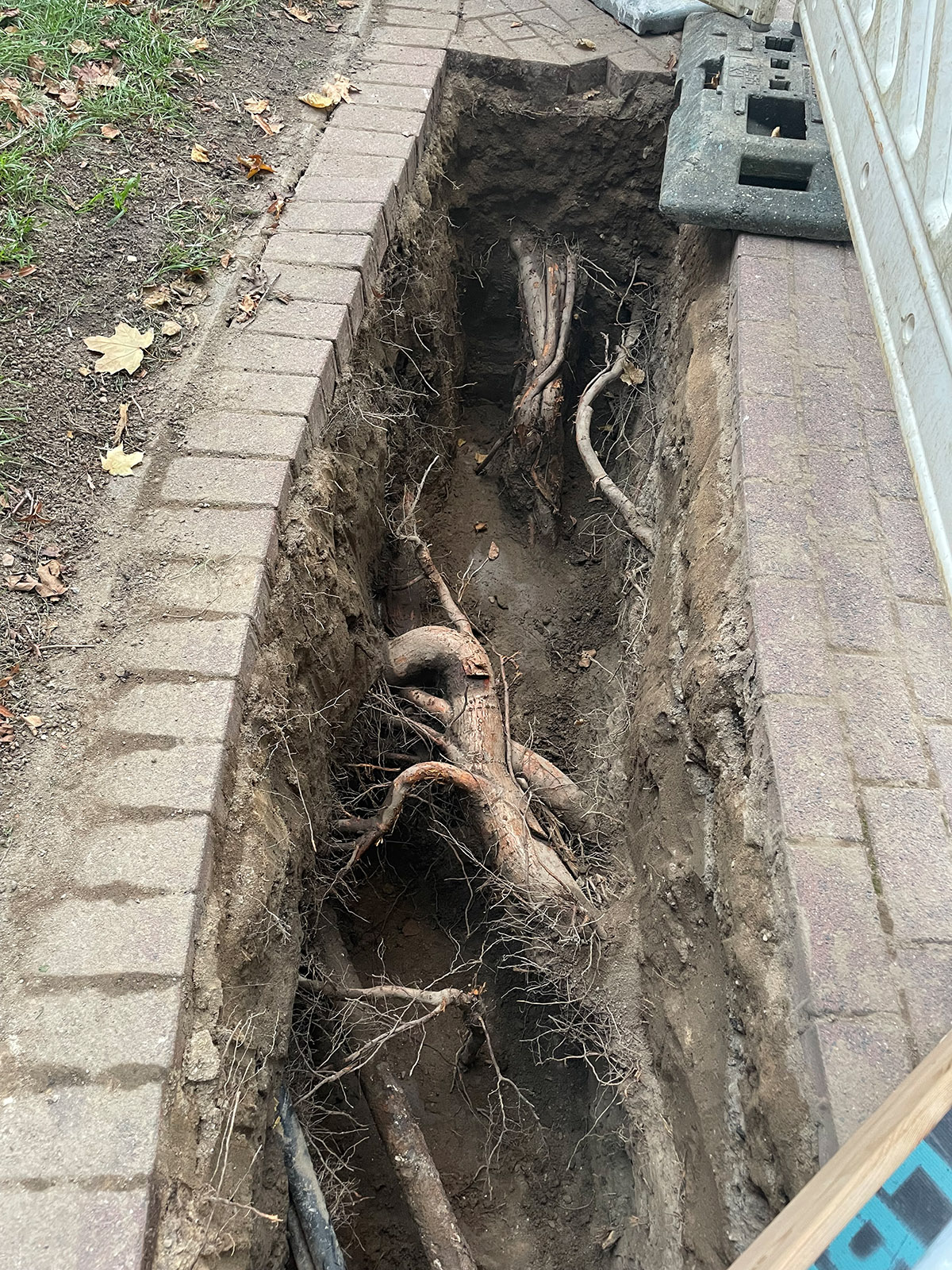 Bauherren & Baufirmen