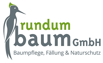 rundum baum