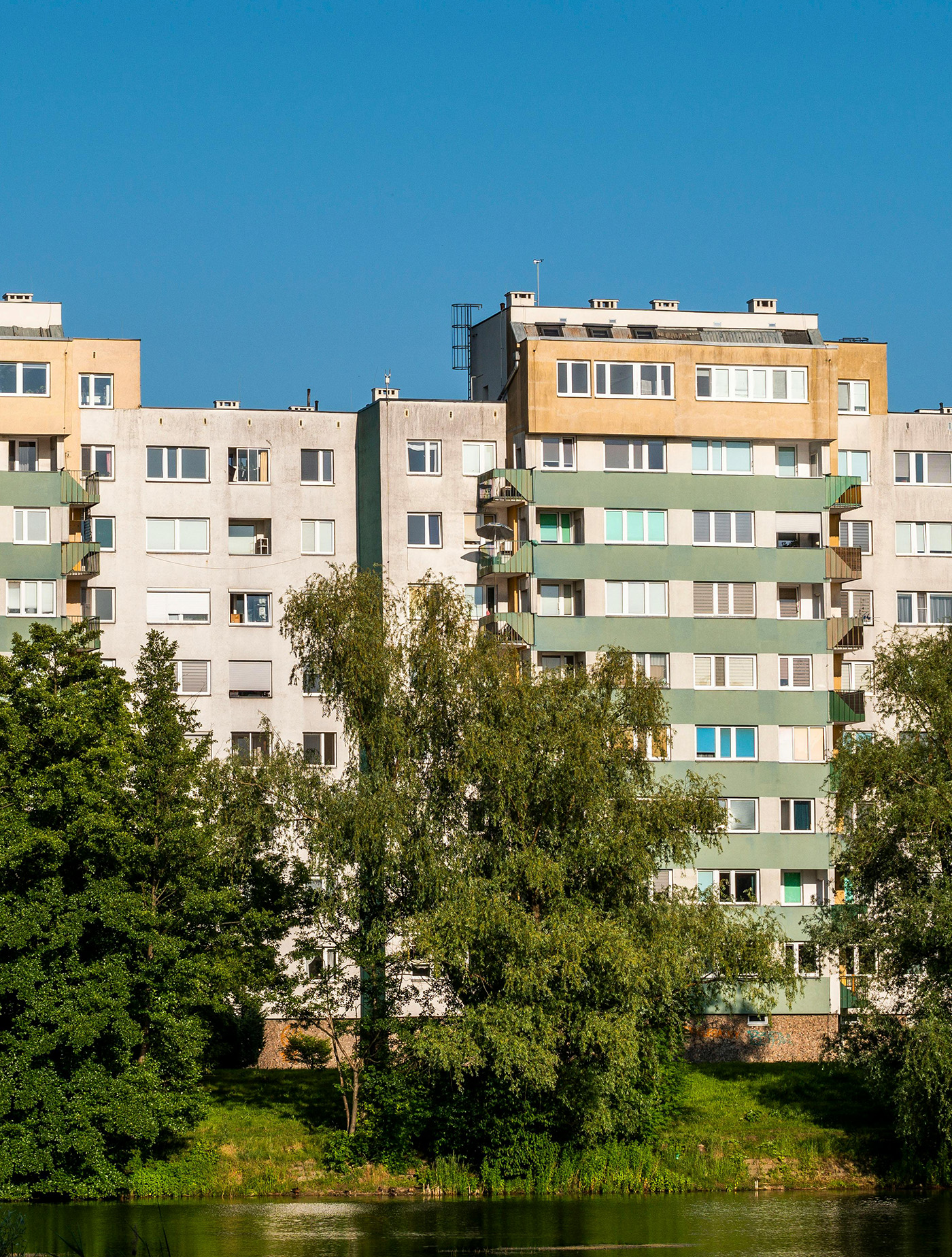 Baumpflege für Hausverwaltungen