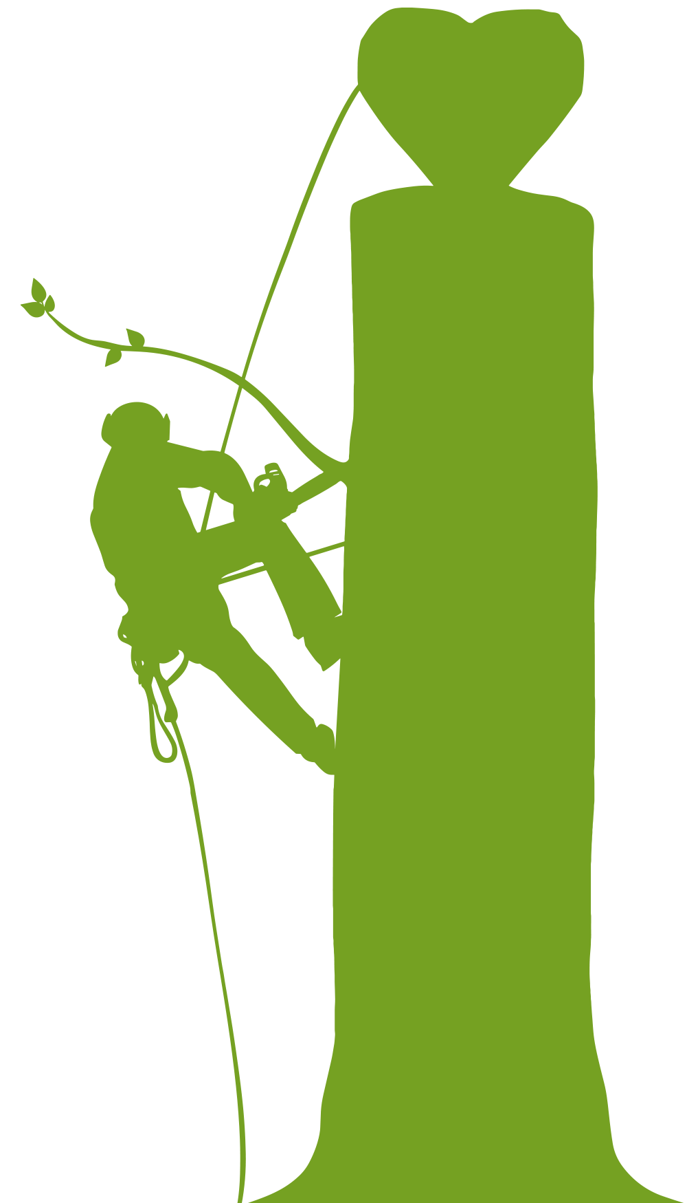 Habitatbaum rundum Baum